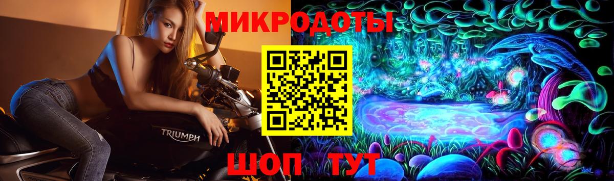 Псилоцибиновые грибы Psilocybe  Вход с VPN  Екатеринбург 