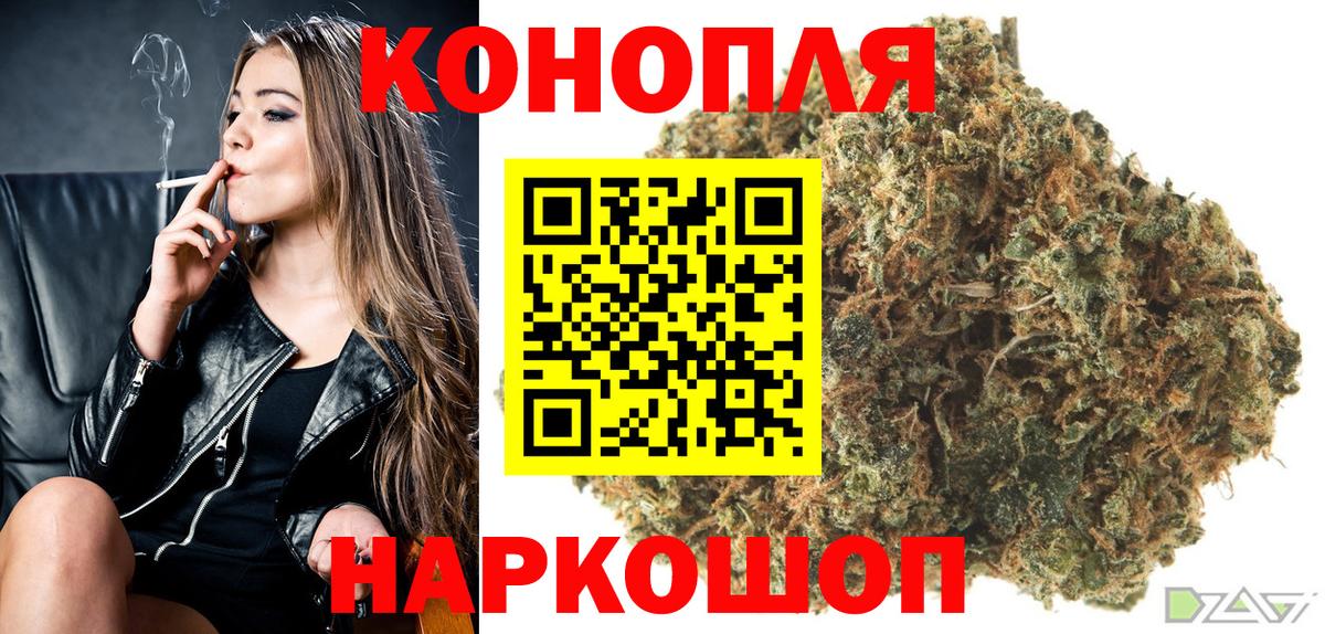 Бошки Шишки семена Екатеринбург